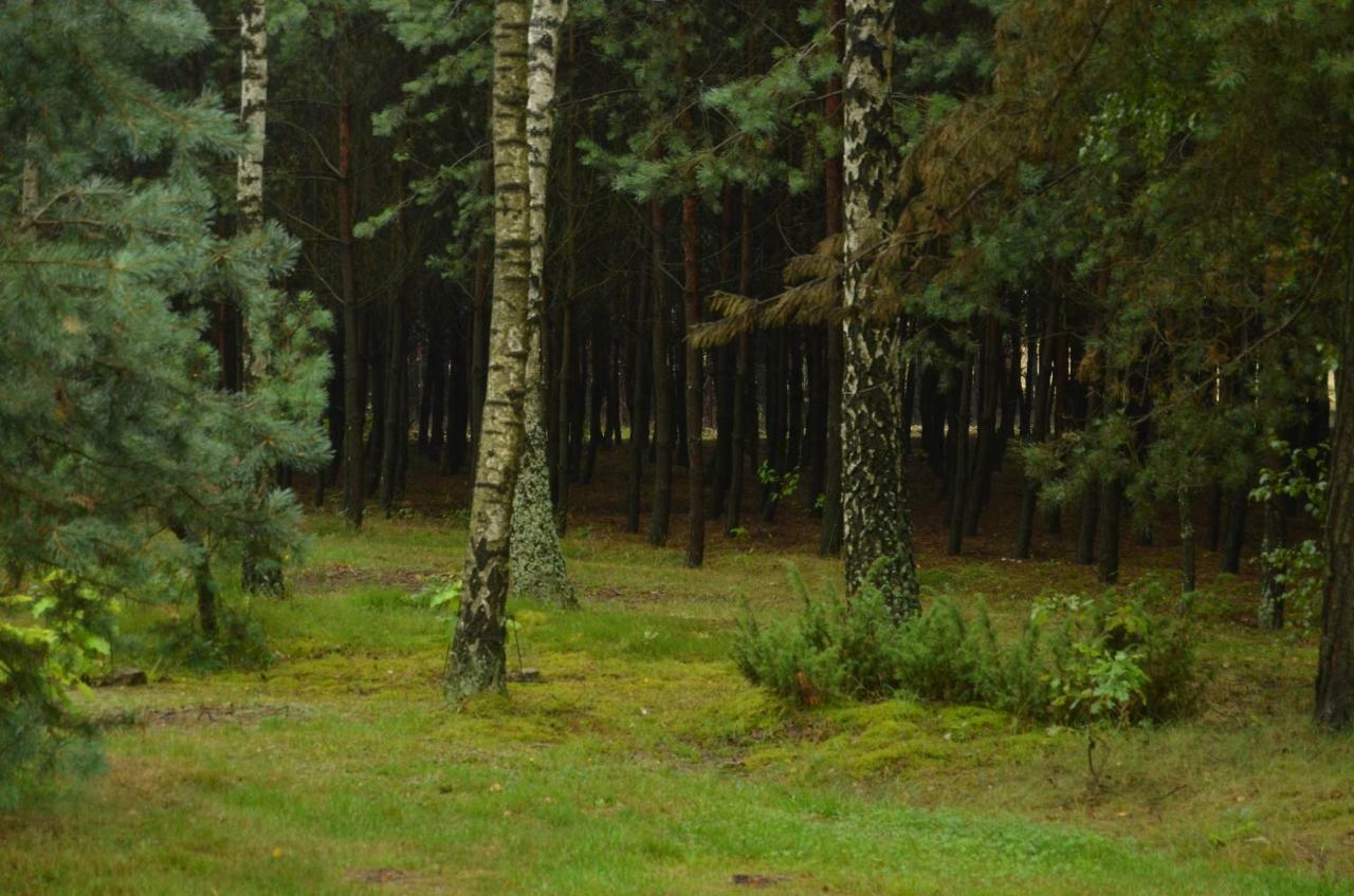 Zofijówka Osjaków Exterior foto